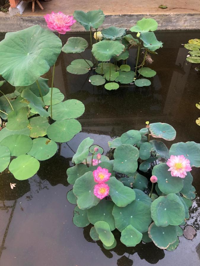 Leranda Homestay Hue Esterno foto
