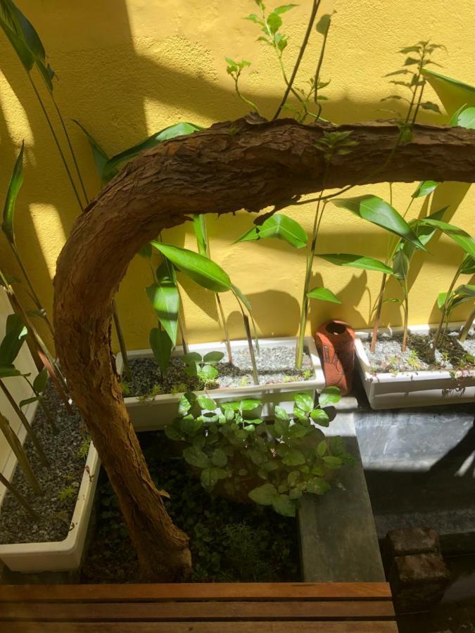 Leranda Homestay Hue Esterno foto