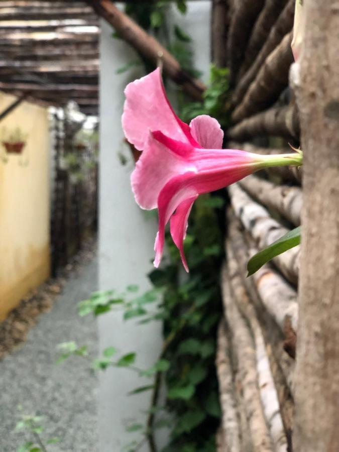 Leranda Homestay Hue Esterno foto